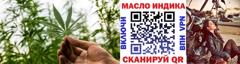 Купить закладки  Выборг  ТГК концентрат 