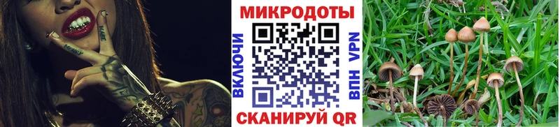 Купить  Выборг  Галлюциногенные грибы прущие грибы 